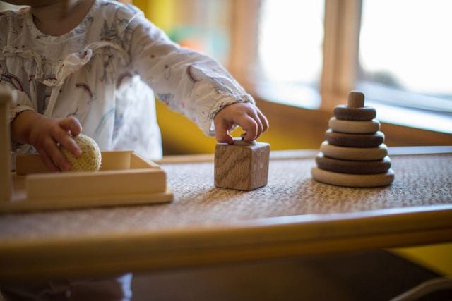 Montessori Directress