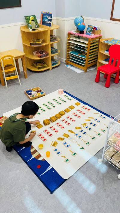 Montessori Directress